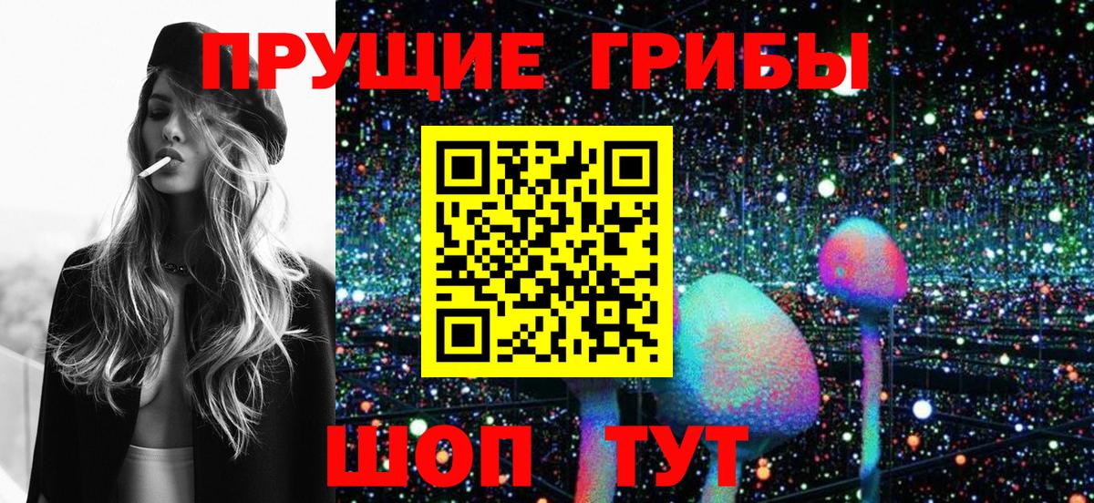 Псилоцибиновые грибы мицелий Каменск-Шахтинский