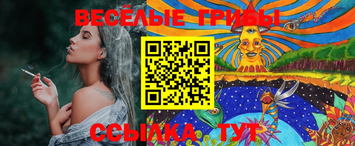 Каменск-Шахтинский  Псилоцибиновые грибы мицелий  Вход с VPN 